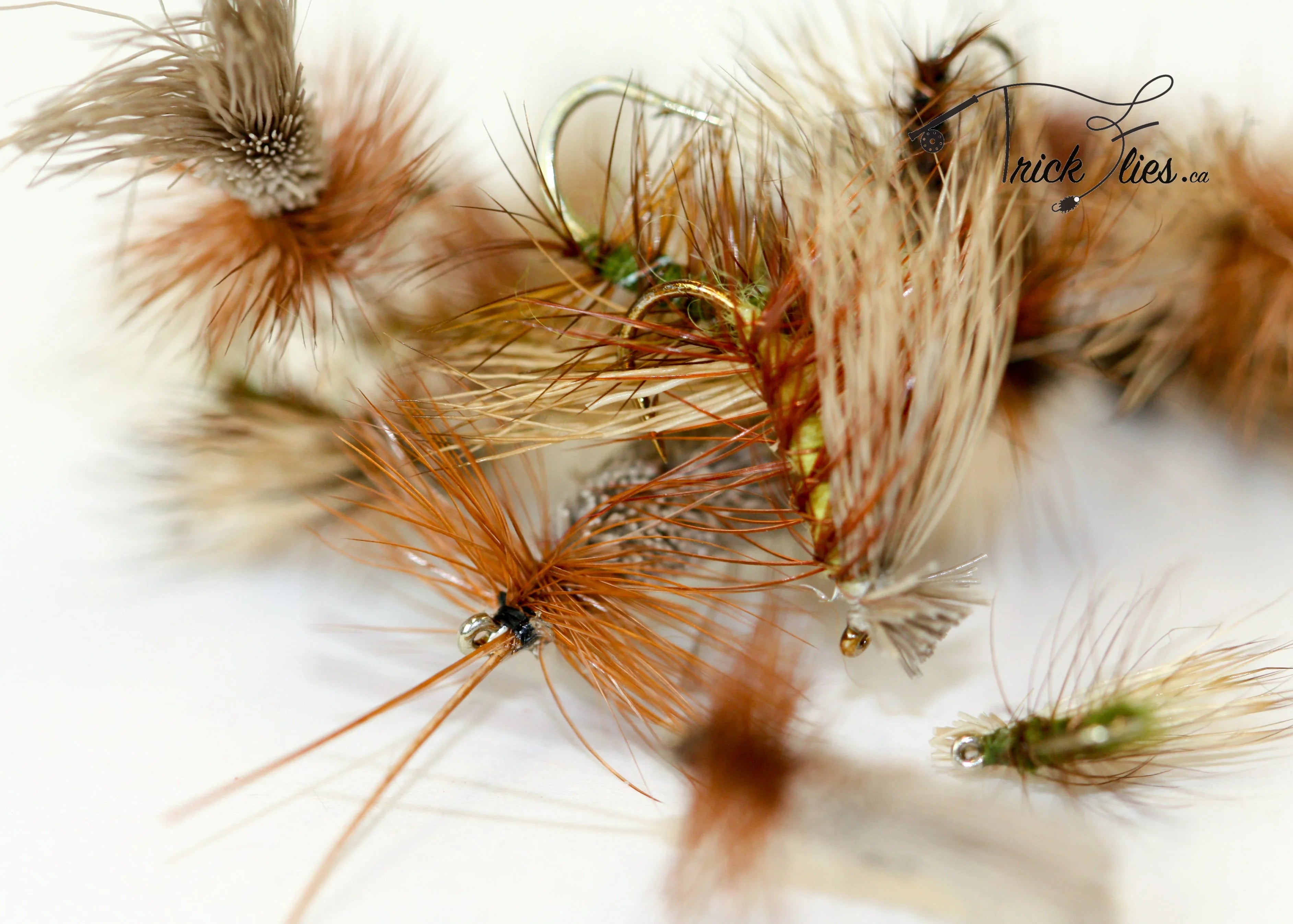 Close-up of assorted dry fly fishing flies with brown and tan feathers on white background