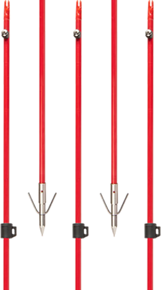 Red Cajun bowfishing fiberglass arrows with Piranha XT points, vertical display