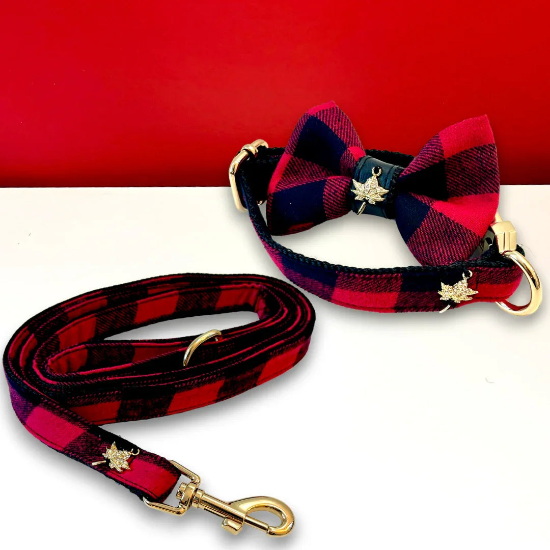Red and black plaid dog collar with bow tie and matching leash, gold maple leaf charms