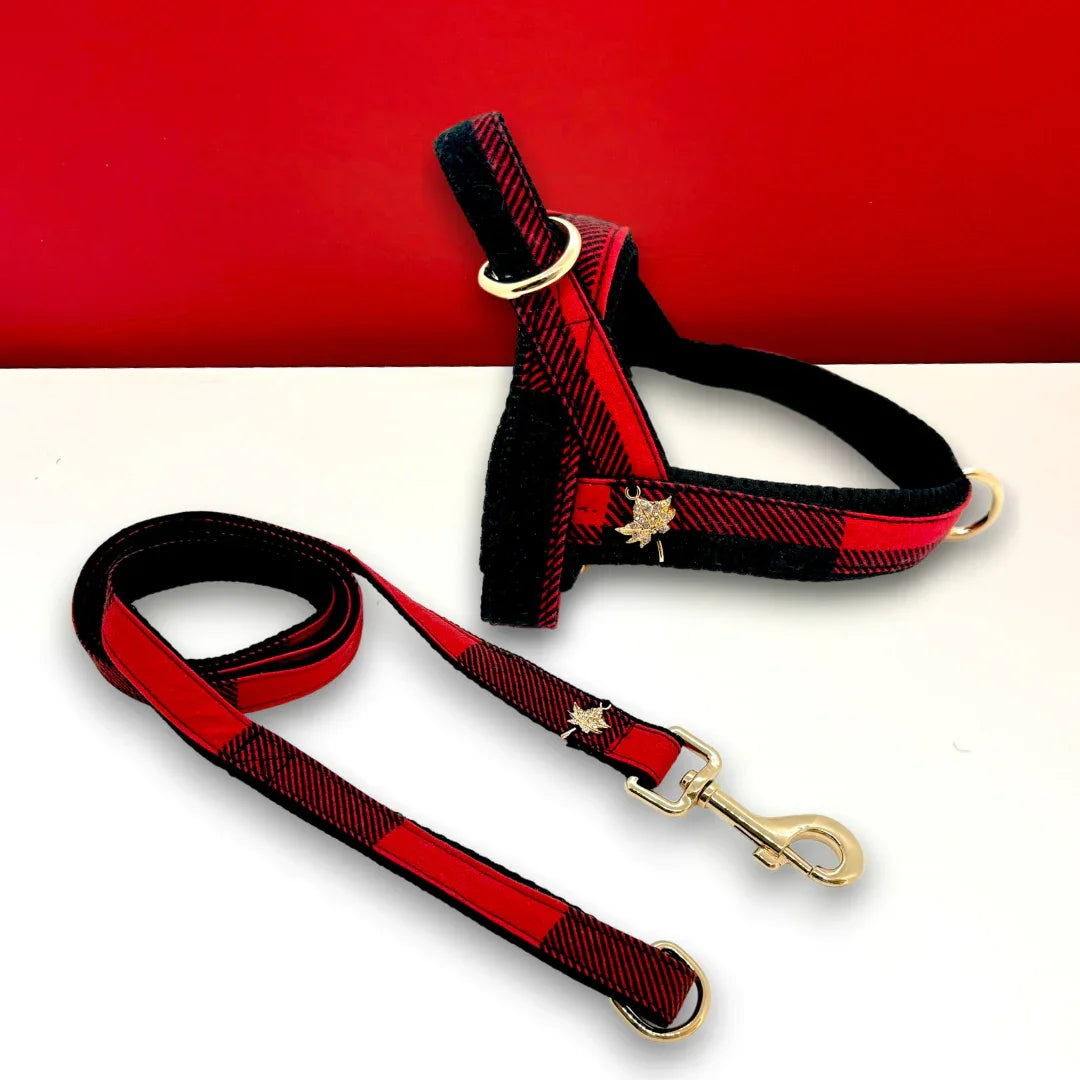 Red and black plaid dog harness and leash set with gold maple leaf charms on white surface