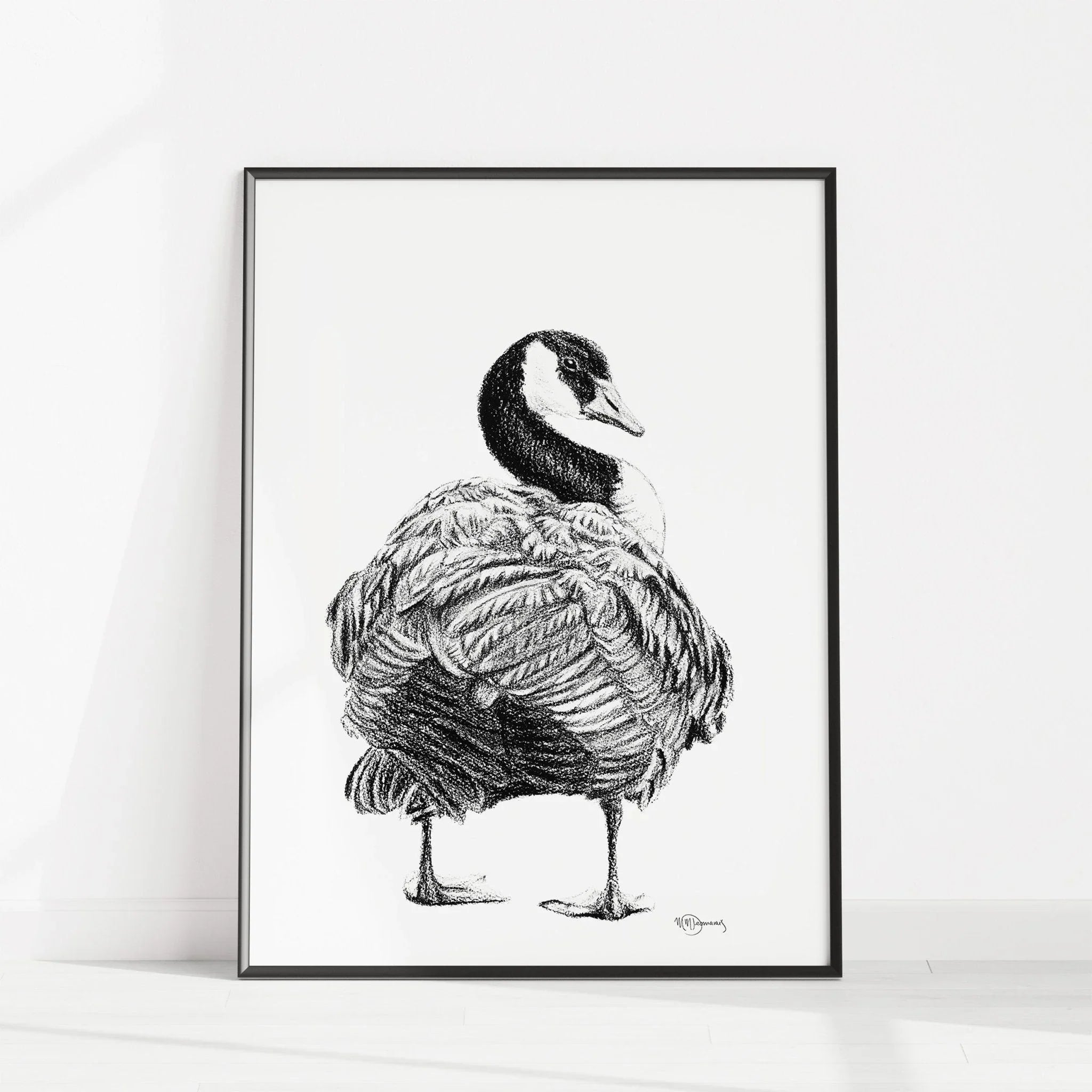 Black and white Canada goose illustration art print in minimalist frame on white background