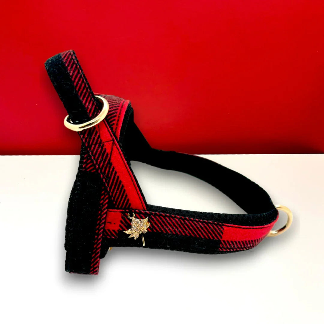 Red and black plaid dog harness with gold hardware, decorative pin, on white surface