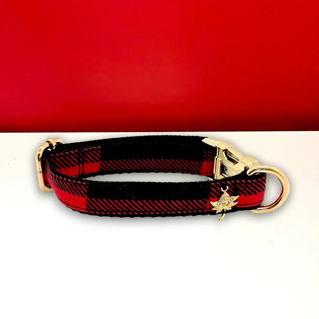 Red and black plaid dog collar with gold hardware and maple leaf charm on white and red background