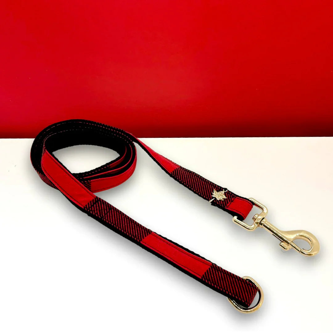Red and black plaid dog leash with metal clasp on white and red background