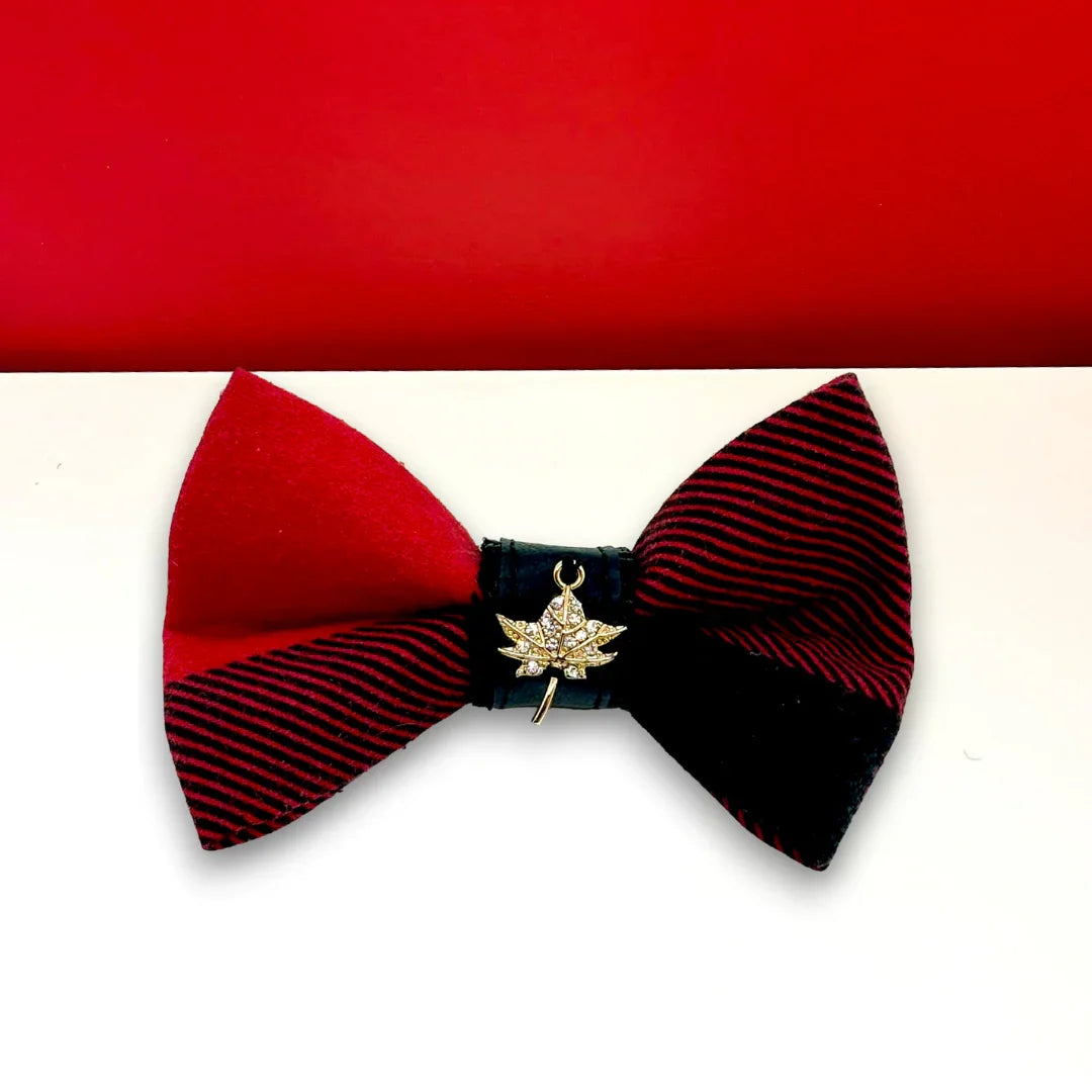 Red and black striped bow tie with gold maple leaf brooch on white and red background