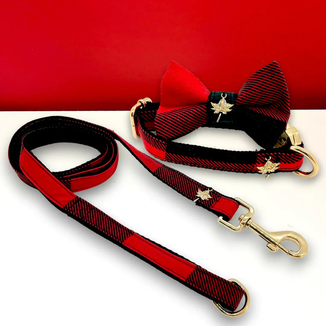 Red and black striped dog collar, bow tie, and leash set with gold accents on a red background
