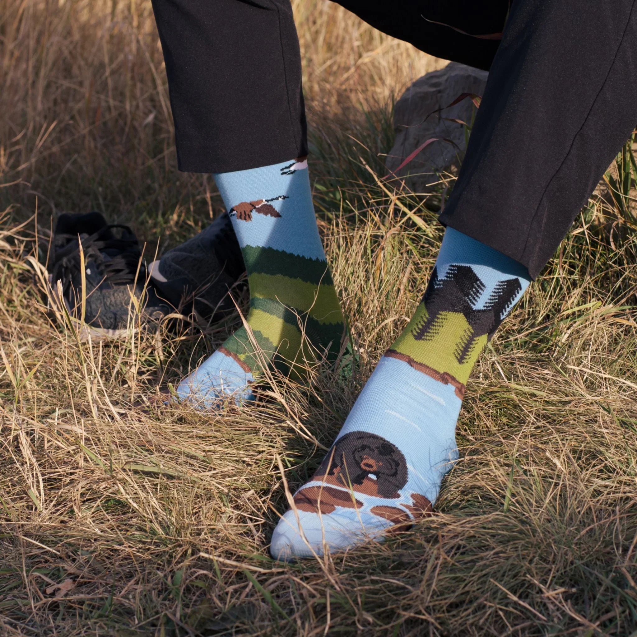 Friday Sock Co Men’s Canadian Shield Landscape Socks