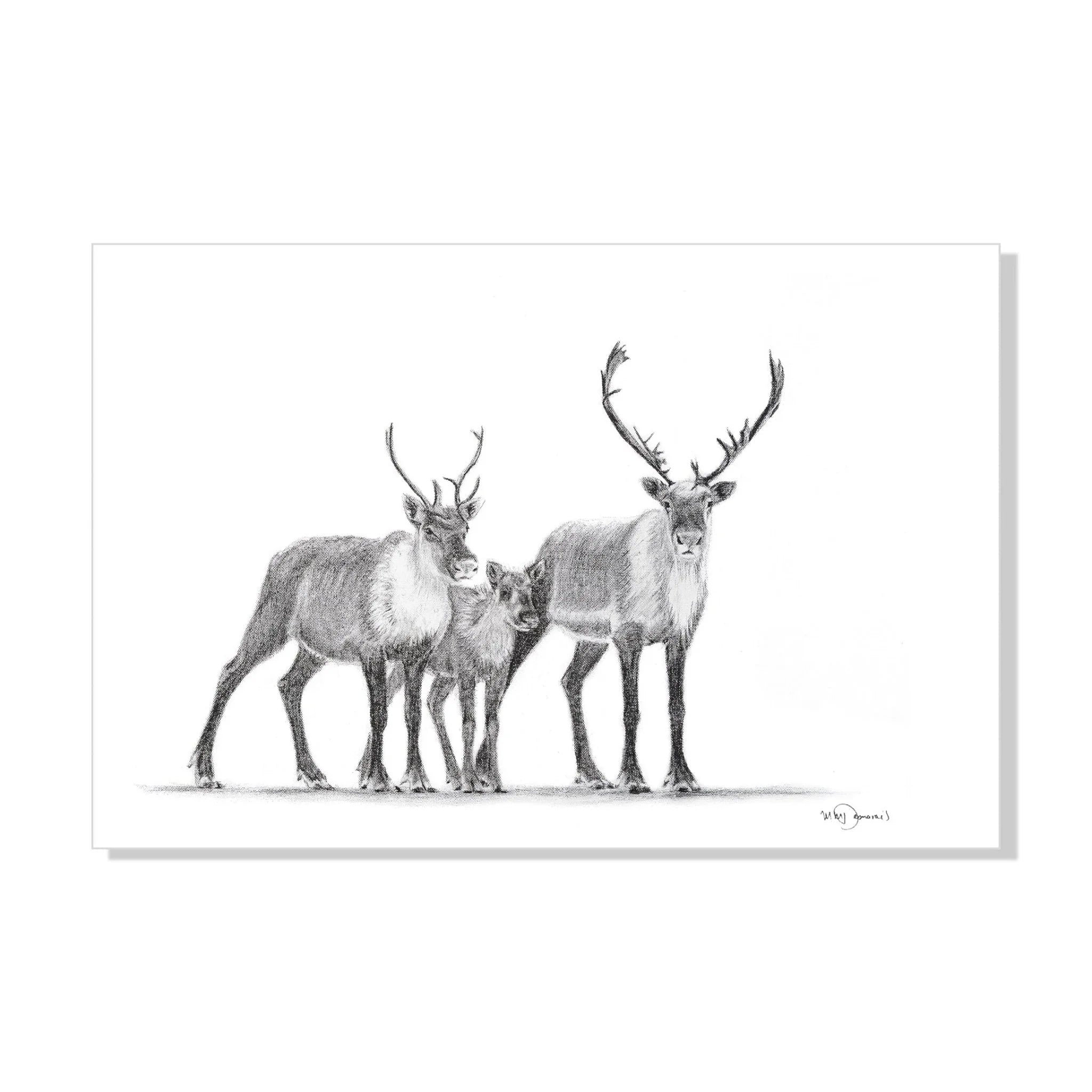 Pencil drawing of a caribou family group on a white background