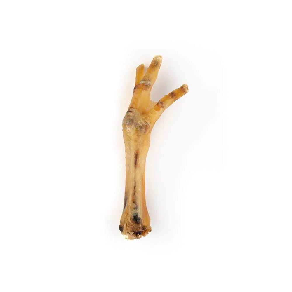 Dried chicken foot dog treat on a white background