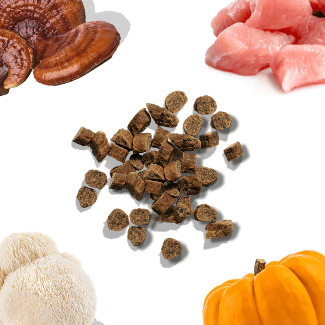 Chicken mini training treats with cubes surrounded by mushrooms, raw chicken, and pumpkin.