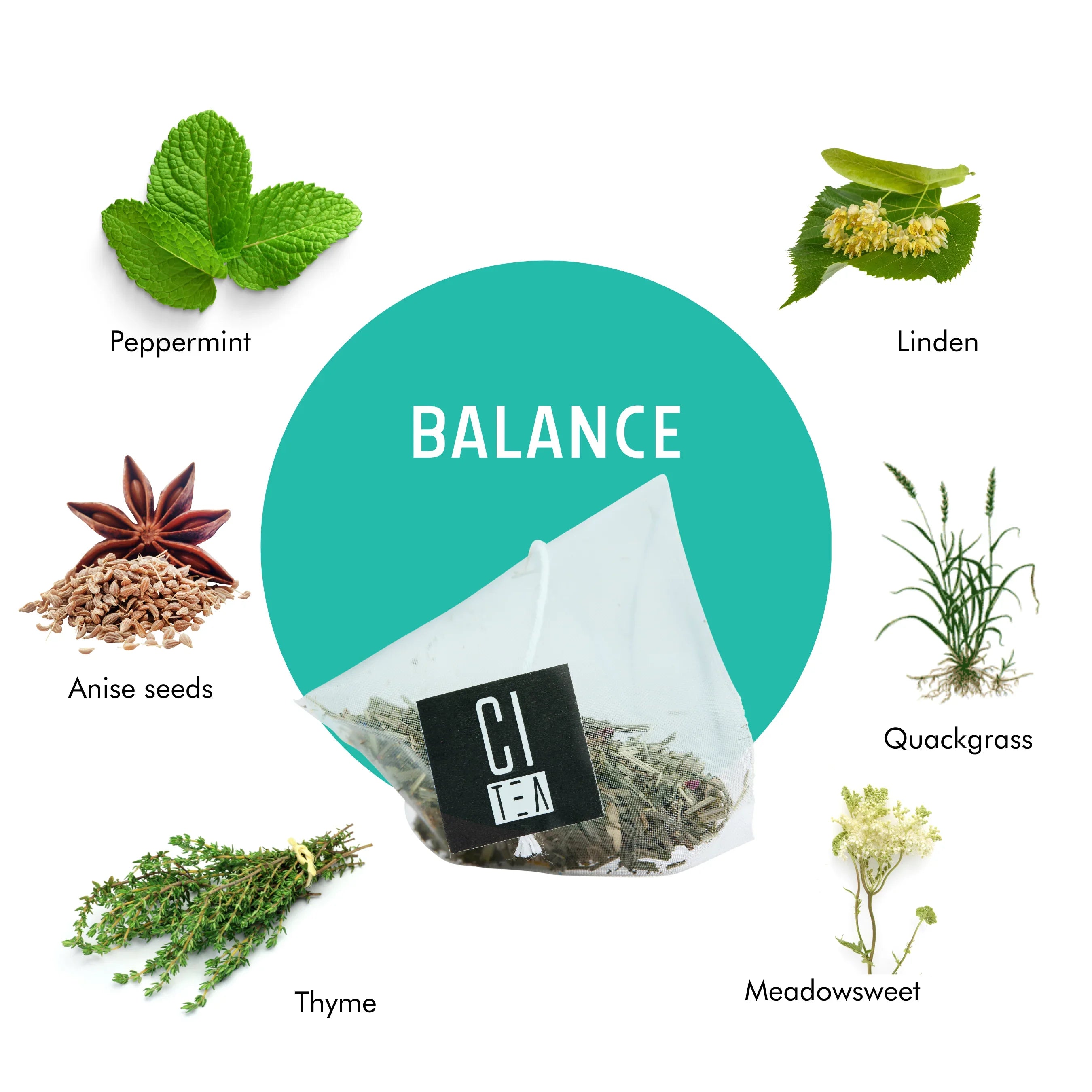 Balance herbal tea bag with peppermint, linden, anise seeds, quackgrass, thyme, meadowsweet