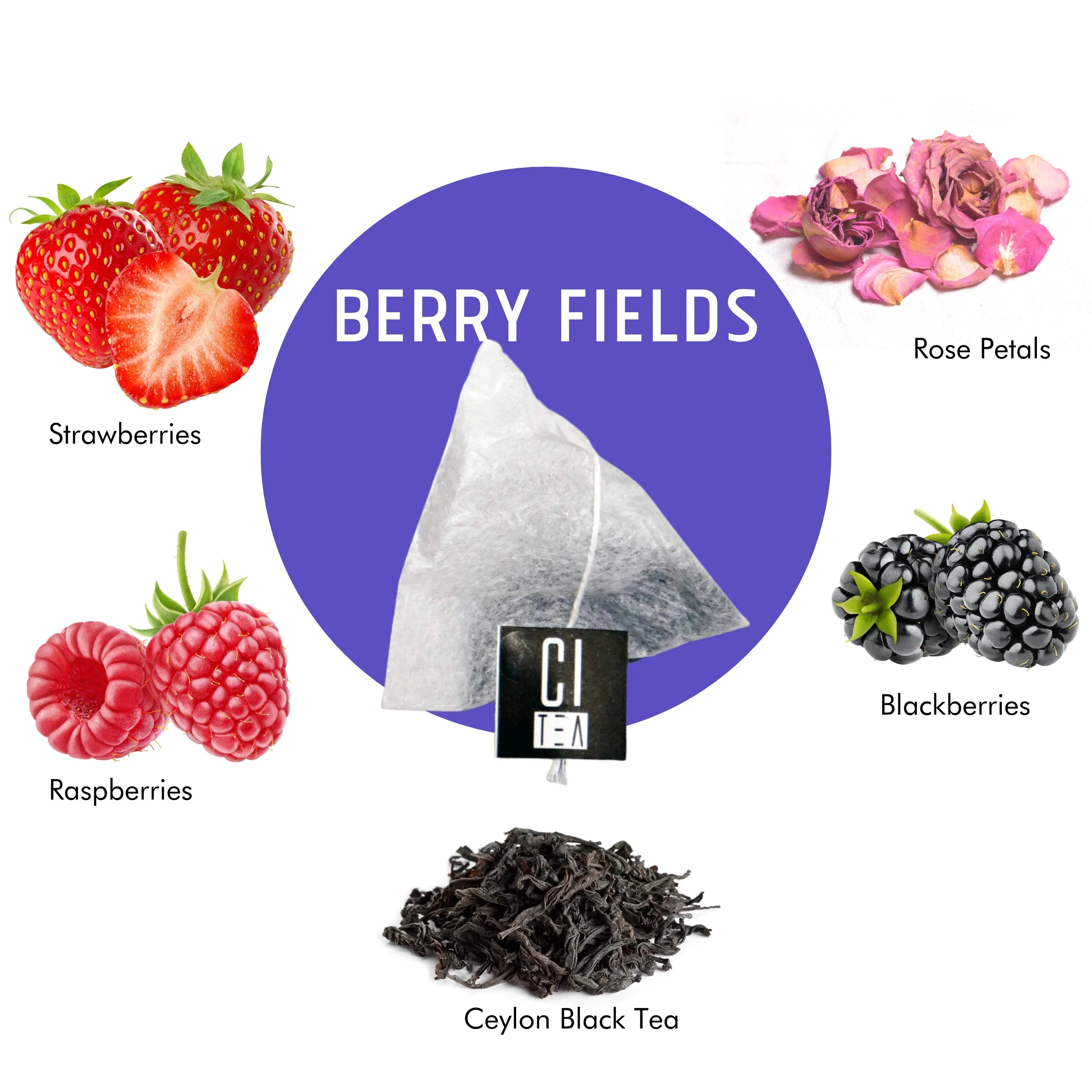 Berry Fields tea bag with strawberries, raspberries, blackberries, rose petals, Ceylon black tea