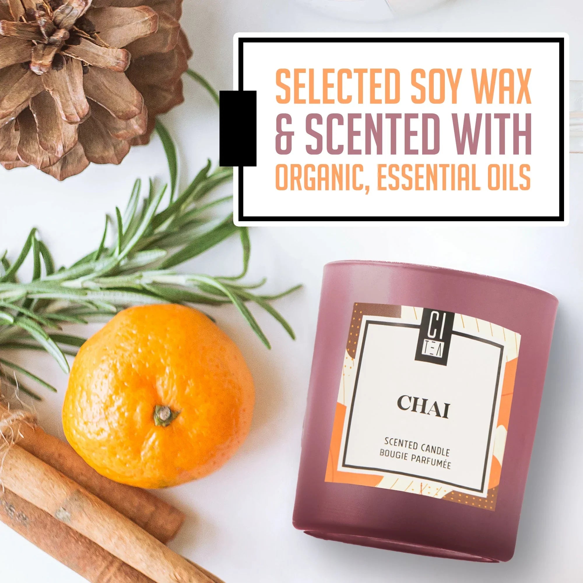 Chai spice soy wax candle with tangerine, rosemary, cinnamon, pine cone on white background