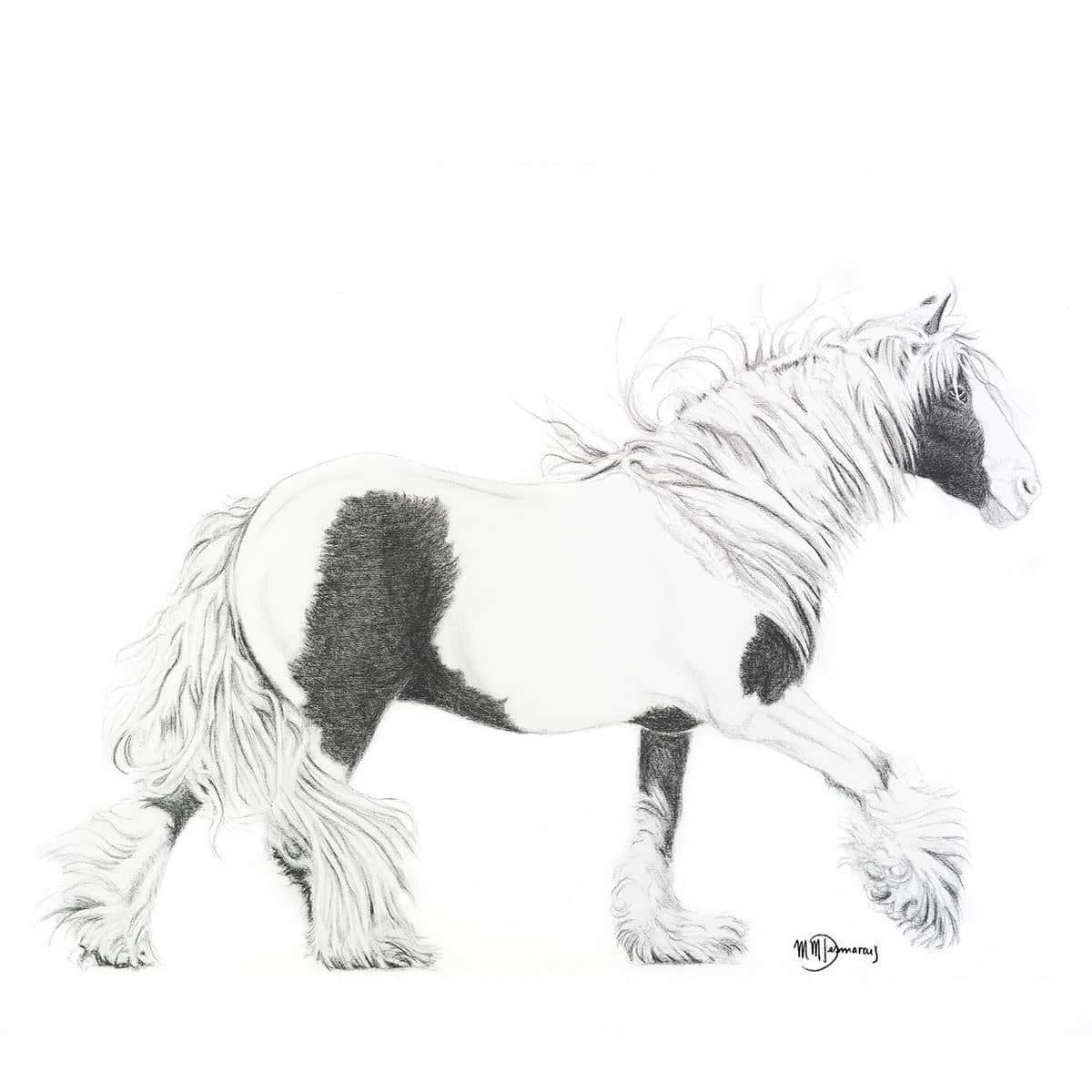 Pencil drawing of a Gypsy cob horse with black and white coat, flowing mane and feathered legs