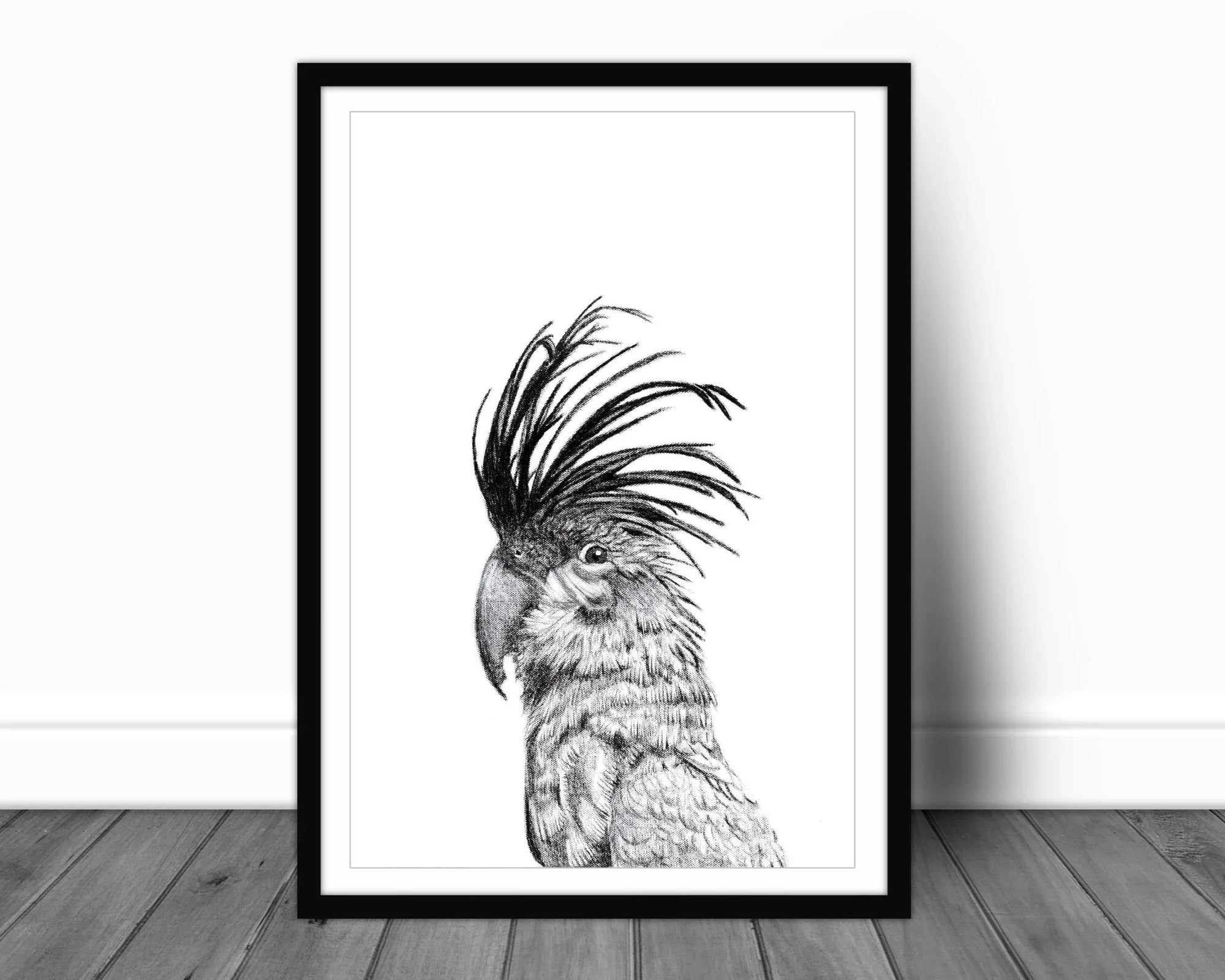 Black and white cockatoo portrait art print in black frame on wooden floor