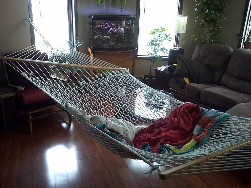 Cotton rope double hammock indoors with blankets, near sofa, plants, and large fish tank