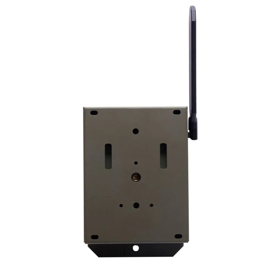 Covert Interceptor Series Bear Safe