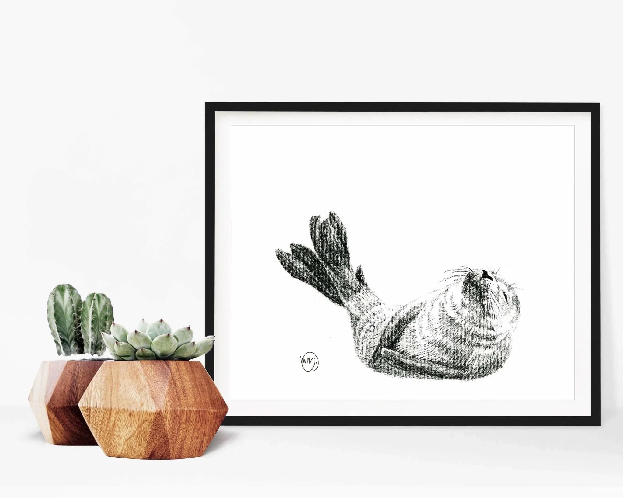 Framed baby seal art print with potted succulents in wooden planters on white background