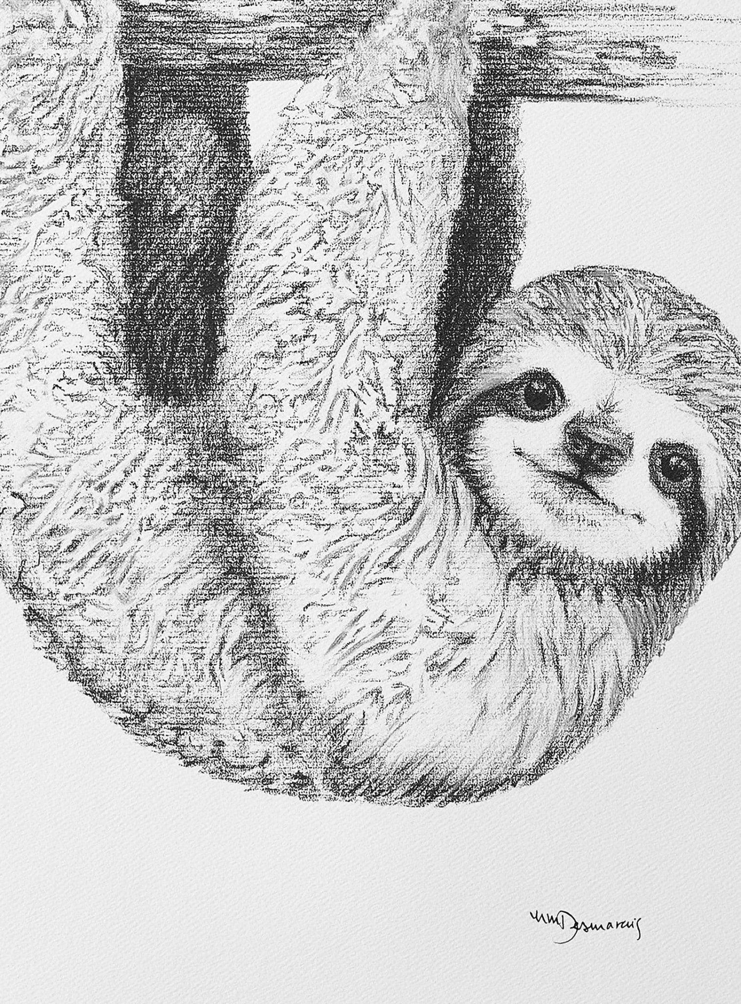 Pencil drawing of a cute baby sloth hanging from a tree branch, detailed fur texture.