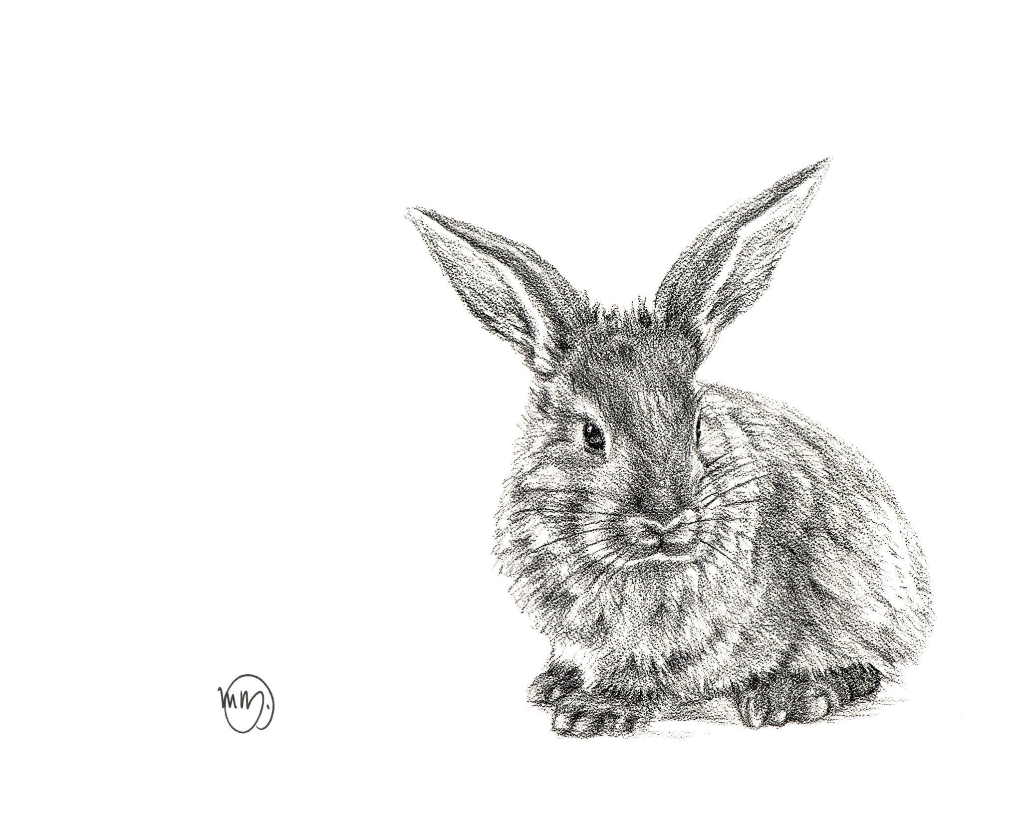Realistic pencil sketch of a cute rabbit sitting on a white background, animal art drawing