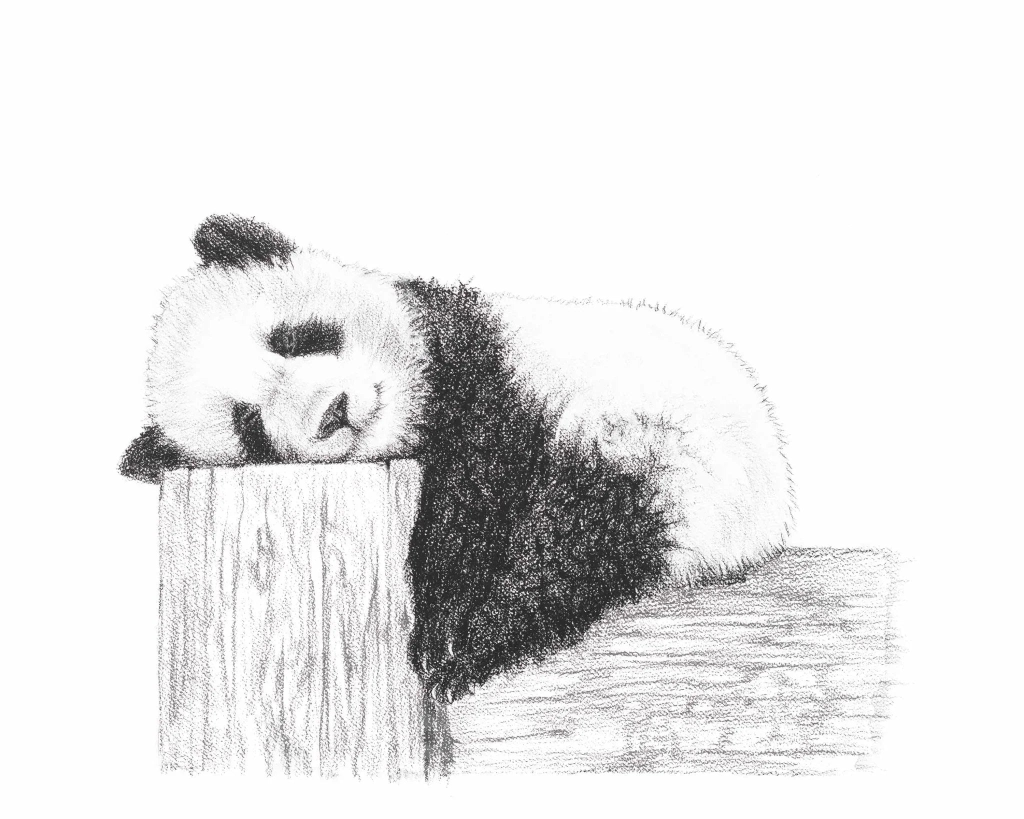 Cute sleeping panda drawing resting on wooden log, black and white sketch illustration