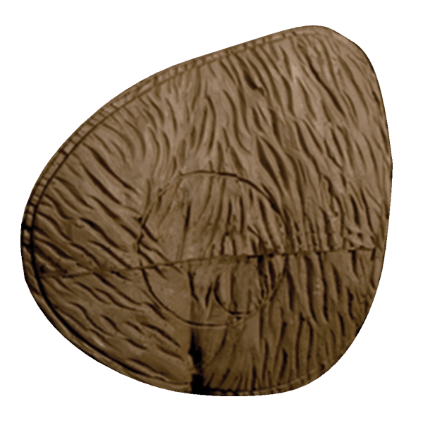 Delta McKenzie archery walking brown bear replacement core with textured brown surface