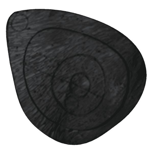 Delta McKenzie wild boar 3D archery target replacement core with visible scoring rings