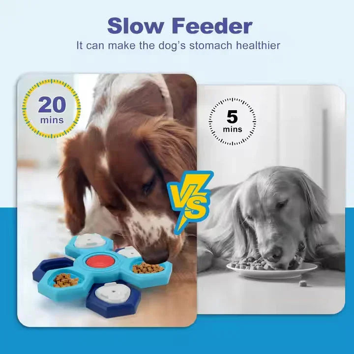 Dog eating from honeycomb puzzle slow feeder vs regular bowl, slow feeding pet accessory