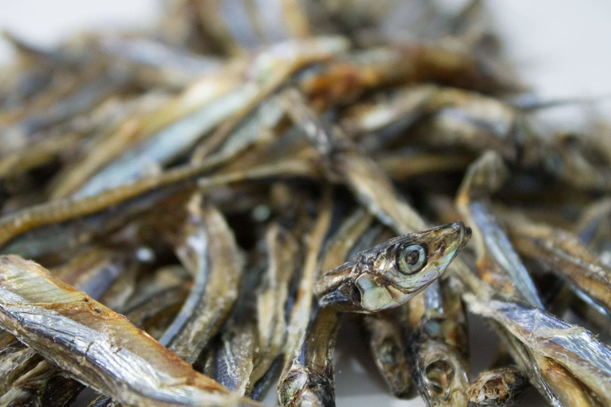 Close-up of dried sardines piled together, showcasing texture and detail