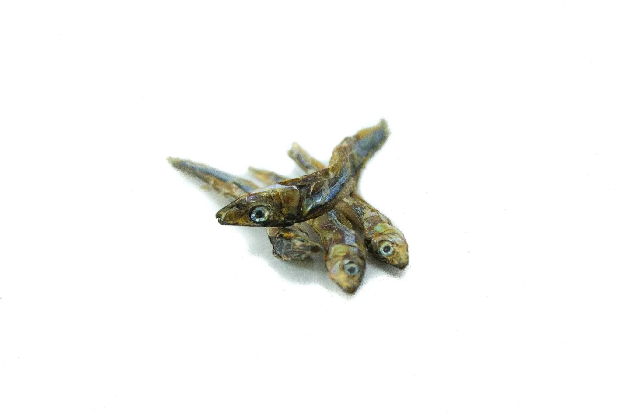 pile of dried sardines on white background