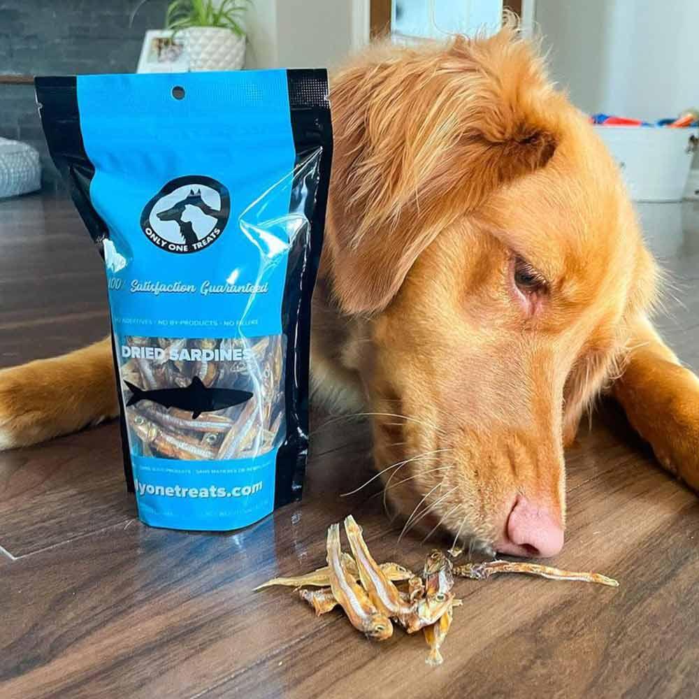 Dog sniffing dried sardines next to Only One Treats dried sardines 90g bag on wooden floor