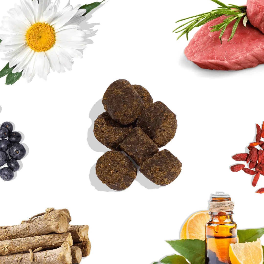 Duck calming aid dog treats with natural ingredients like beef, herbs, and blueberries