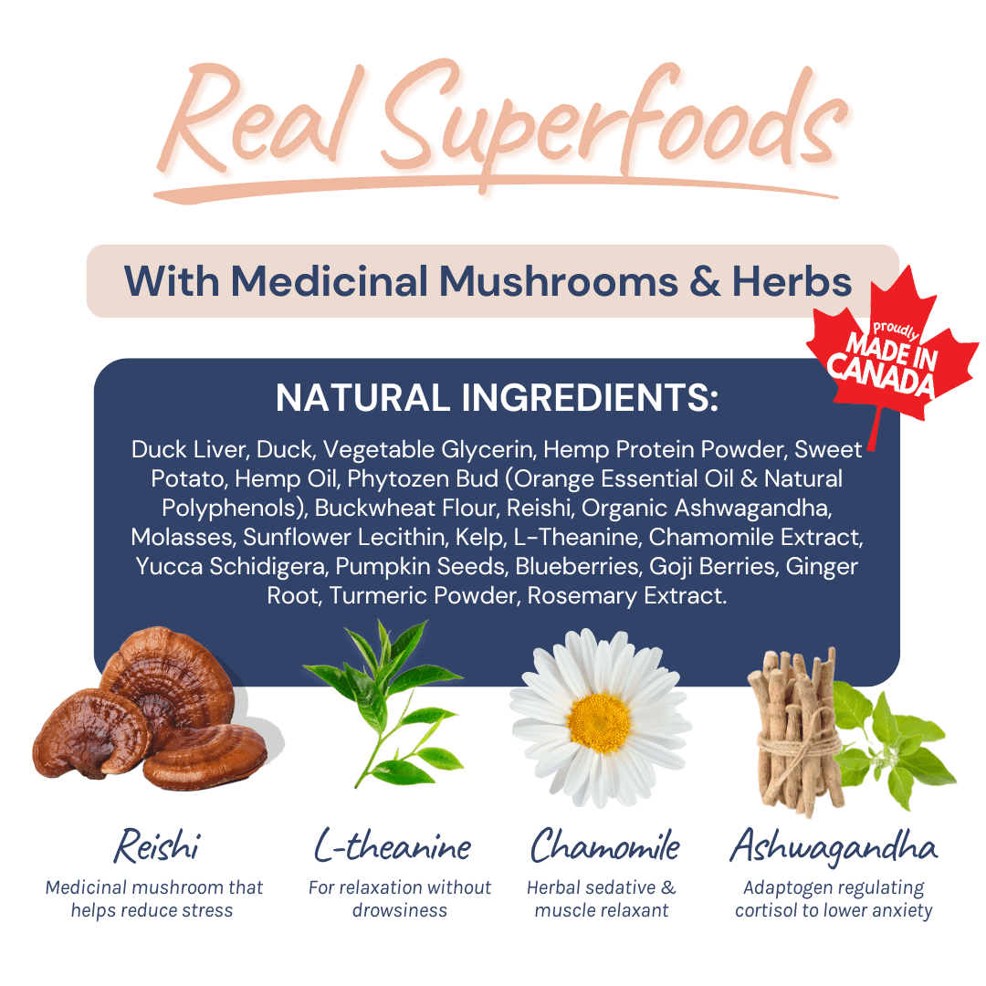 Duck calming aid supplement infographic with natural ingredients, reishi, L-theanine, chamomile, ashwagandha, and Made in Canada label.