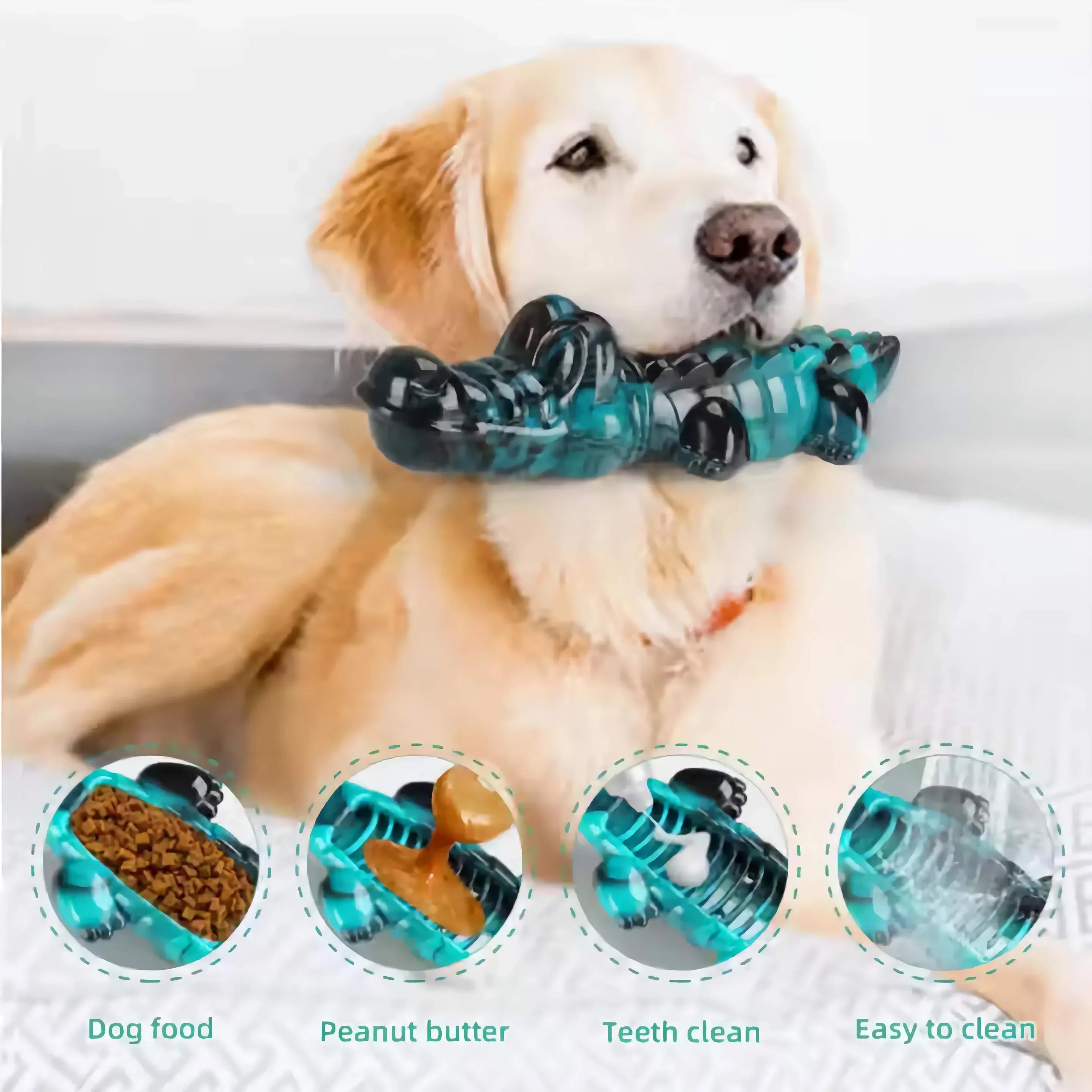 Golden retriever with blue dog chew toy shaped like a crocodile for teeth cleaning