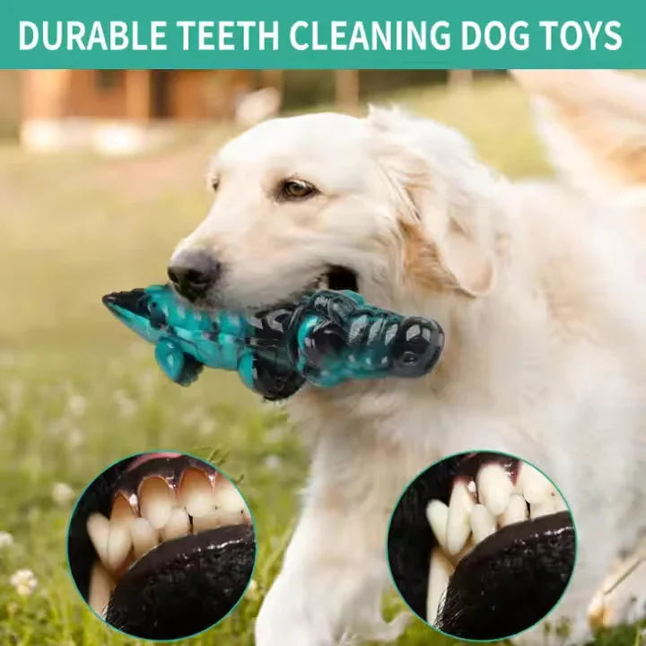 Golden retriever outdoors with durable crocodile dog chew toy, teeth cleaning close-ups