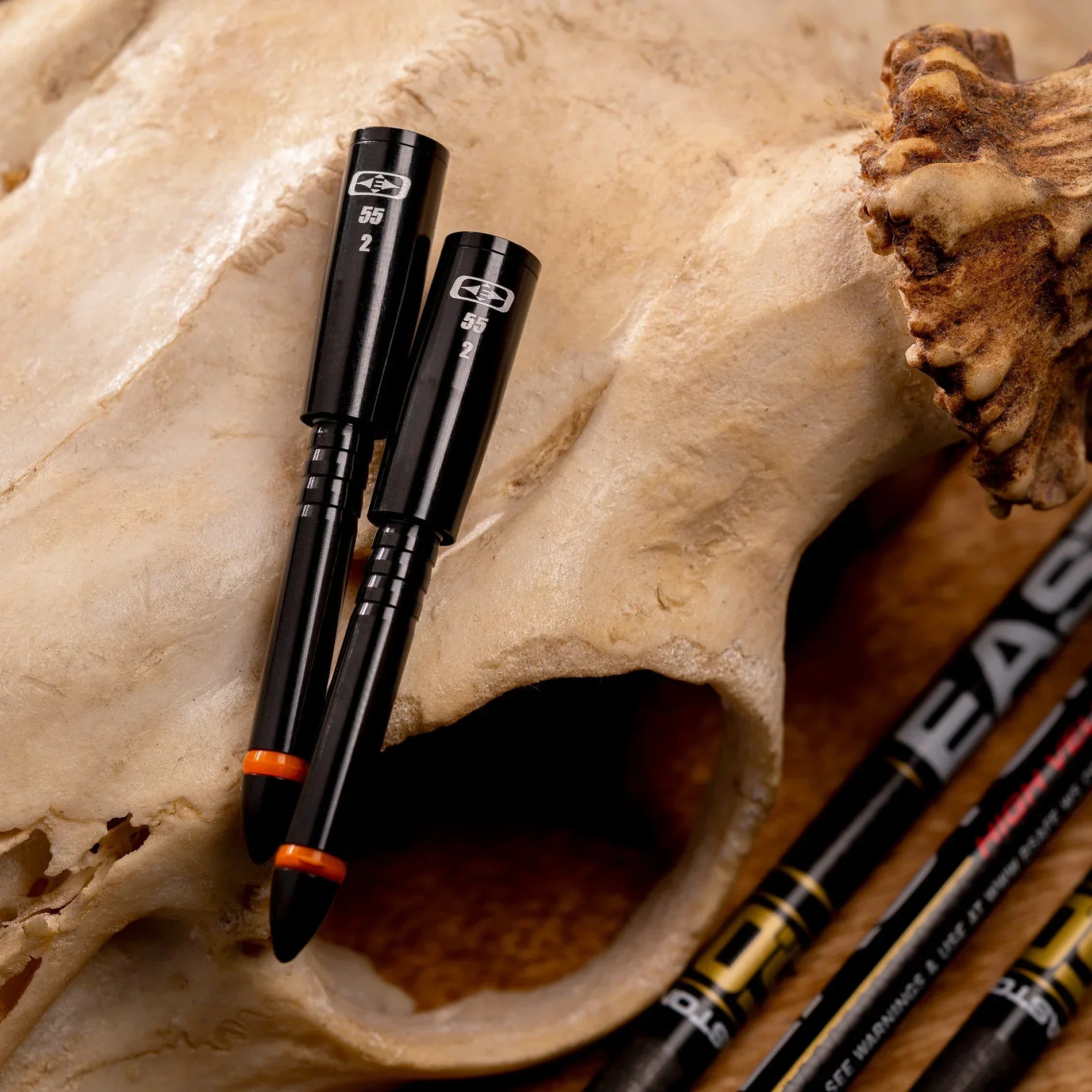 Black arrow inserts on animal skull with carbon hunting arrows