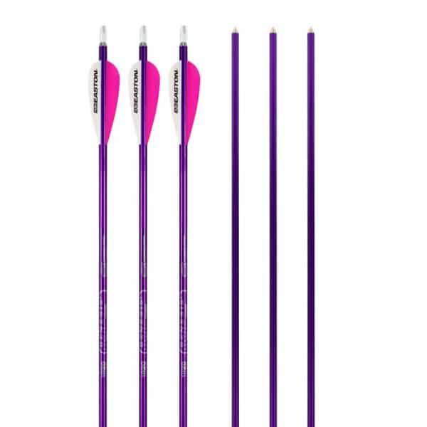 Set of six purple archery arrows, three with pink and white fletching, on white background.