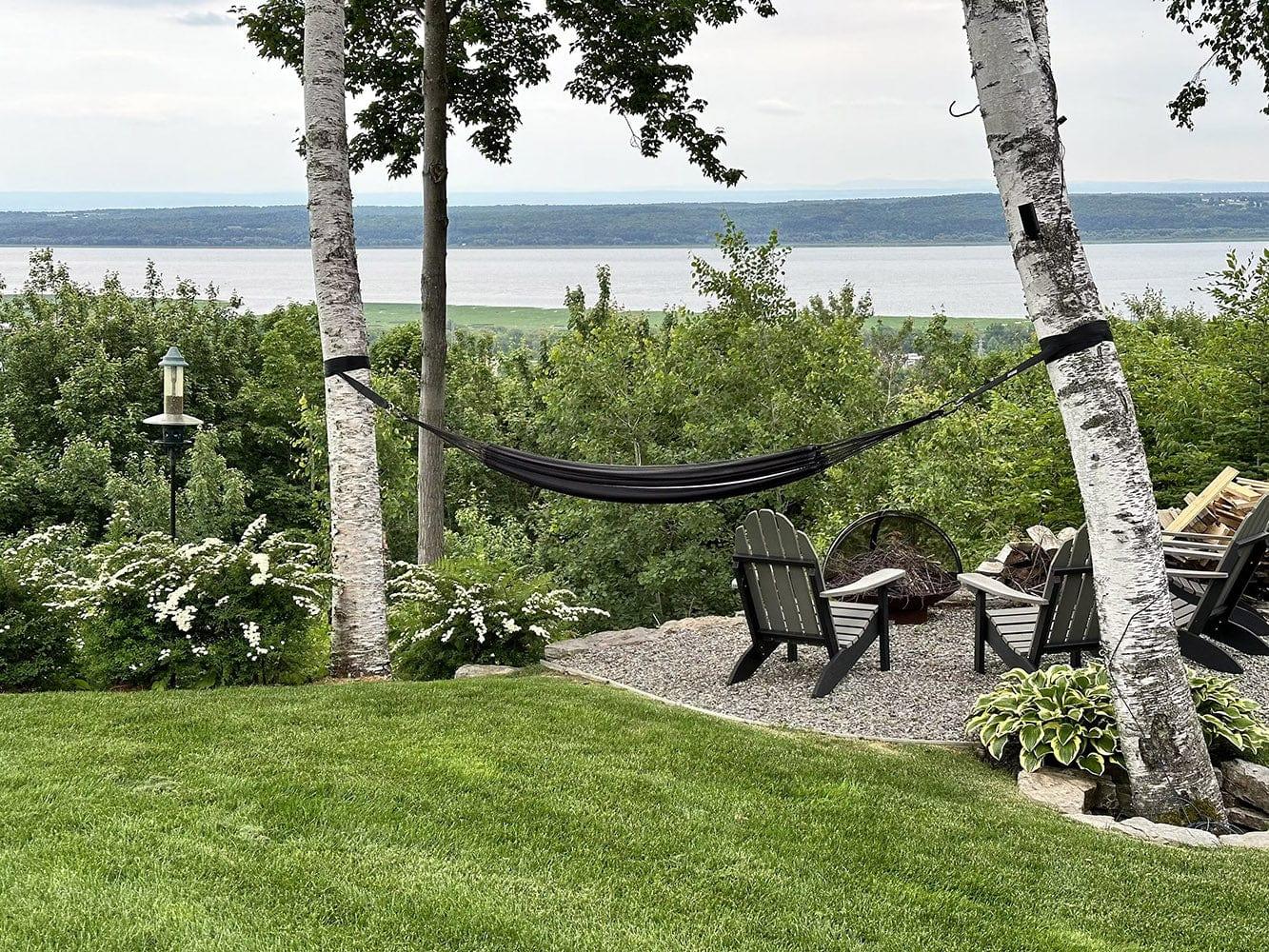 Eco-friendly hammock tree straps securing hammock between birch trees in a lush backyard