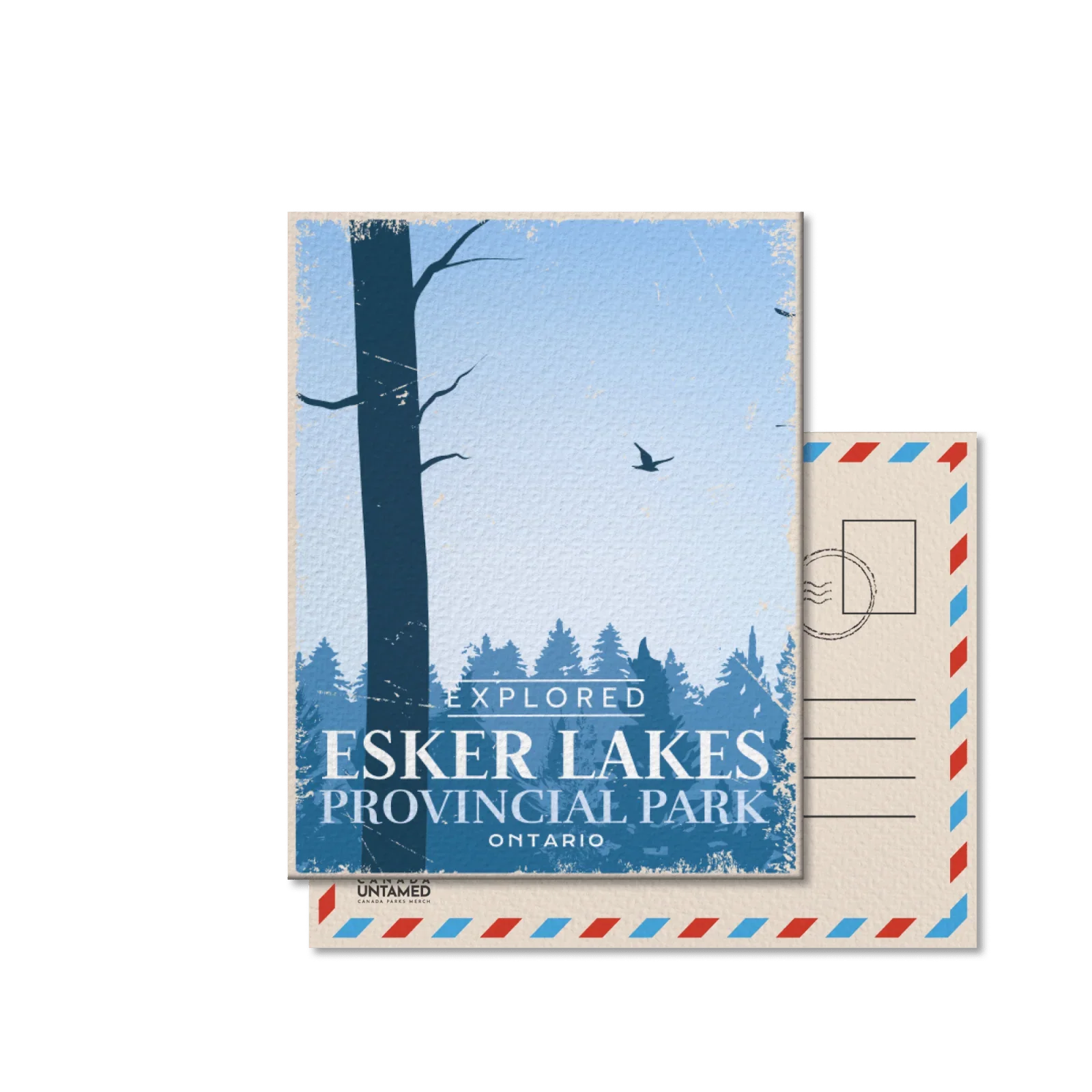 Esker Lakes Provincial Park Ontario postcard with blue forest, tree, and flying bird illustration