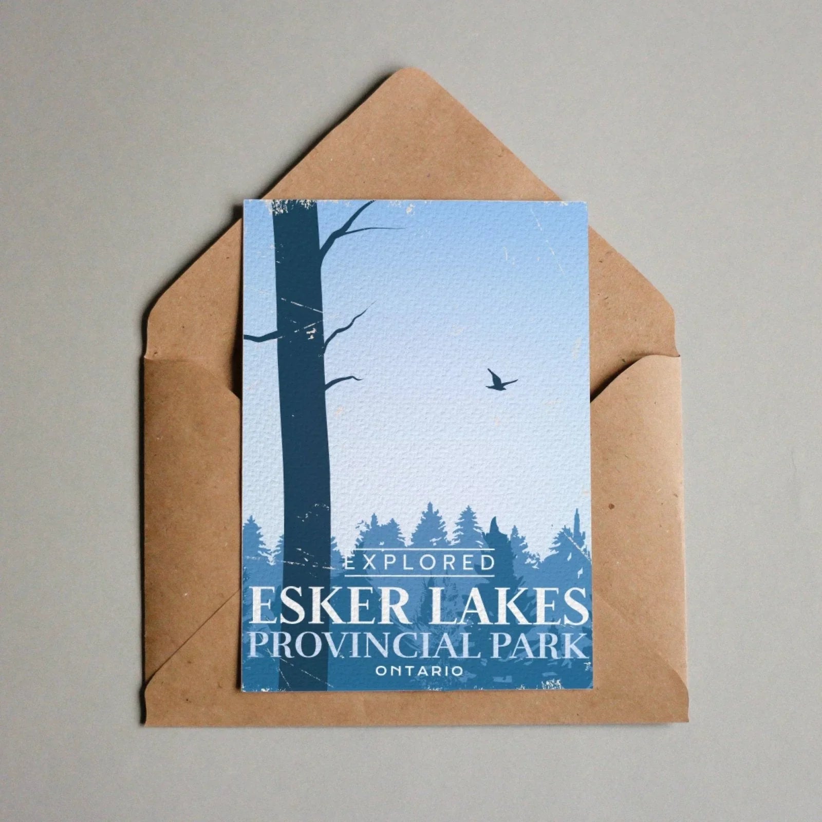 Esker Lakes Provincial Park Ontario postcard with forest silhouette and bird, in brown envelope
