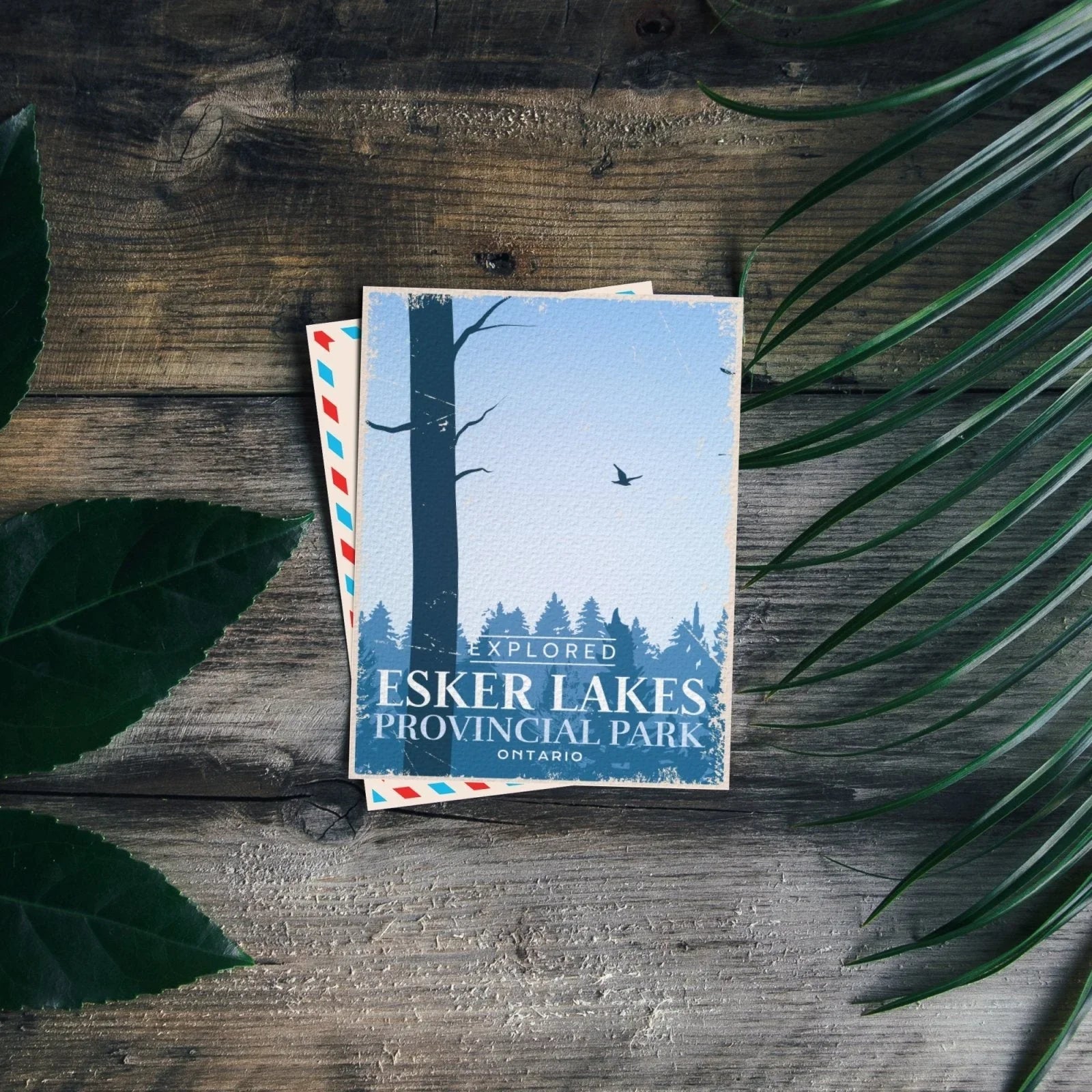 Esker Lakes Provincial Park Ontario postcard on wooden table with green leaves