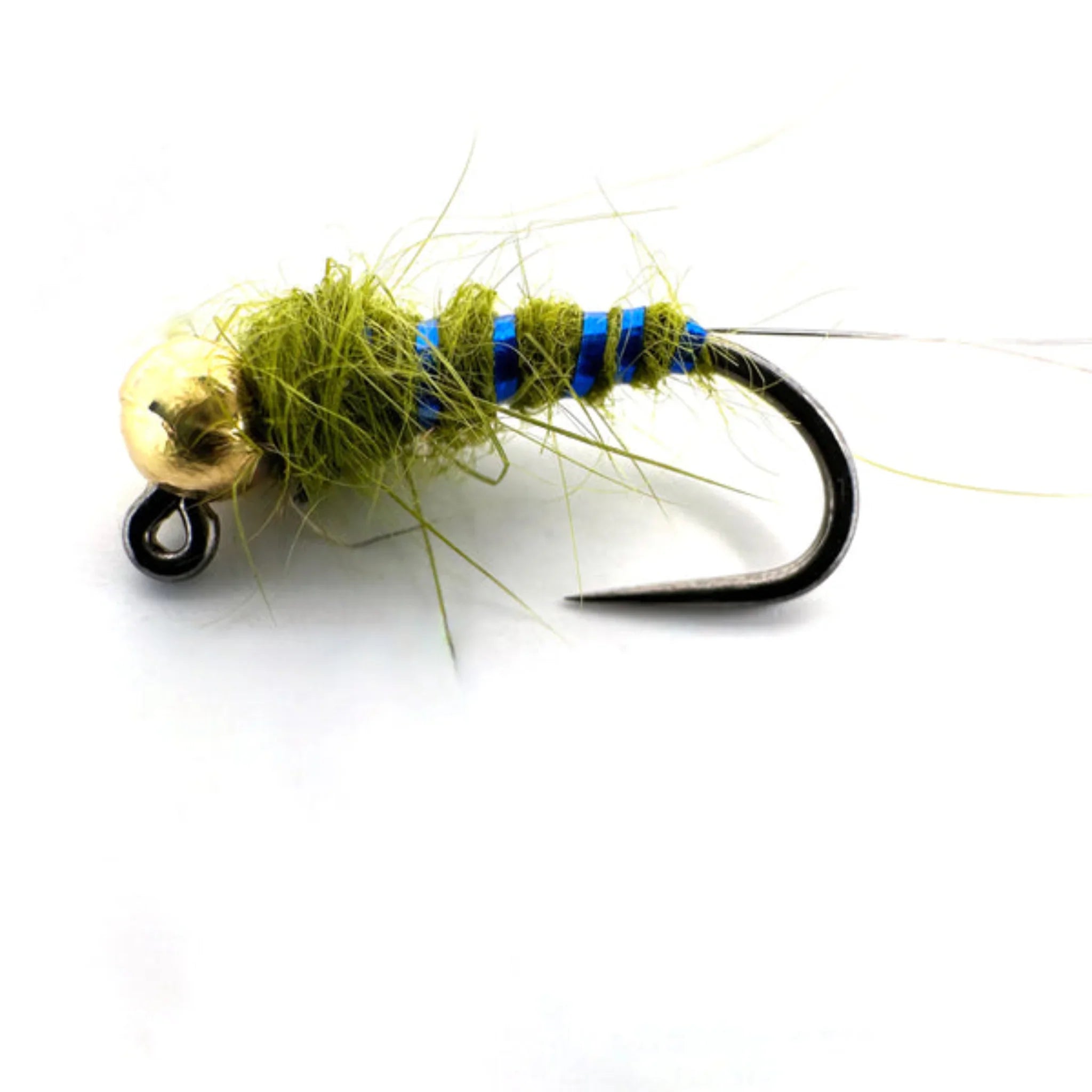 Euro nymph BWO fly fishing lure with olive dubbing, blue ribbing, and gold bead head on white background