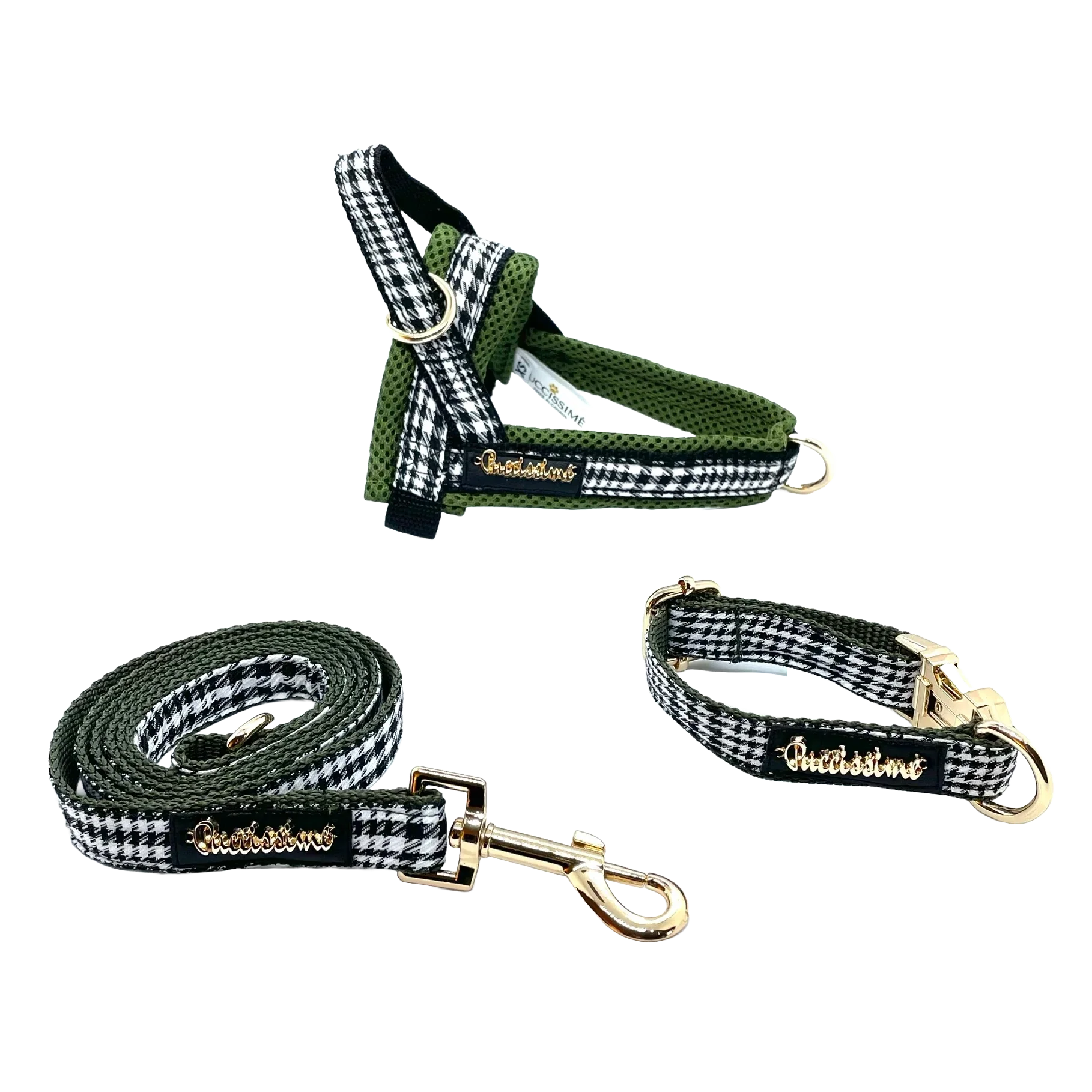 Fern dog leash with hands-free extension