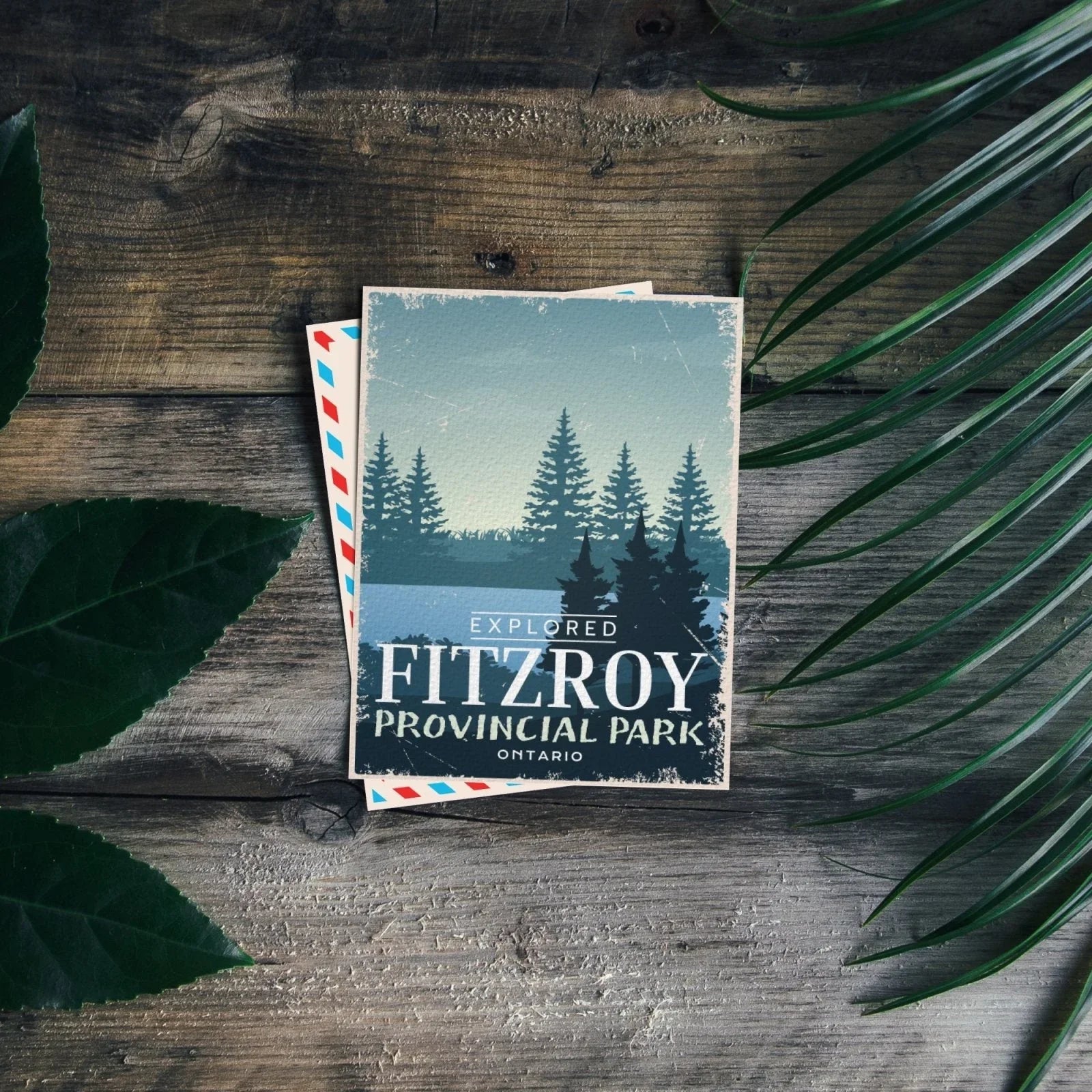 Fitzroy Provincial Park Ontario postcard on rustic wood with green leaves