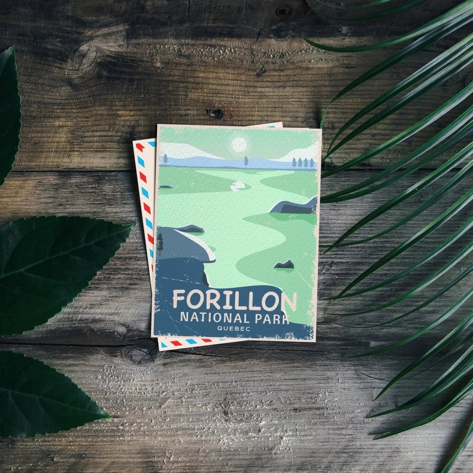 Forillon National Park Quebec postcard on rustic wood with green leaves