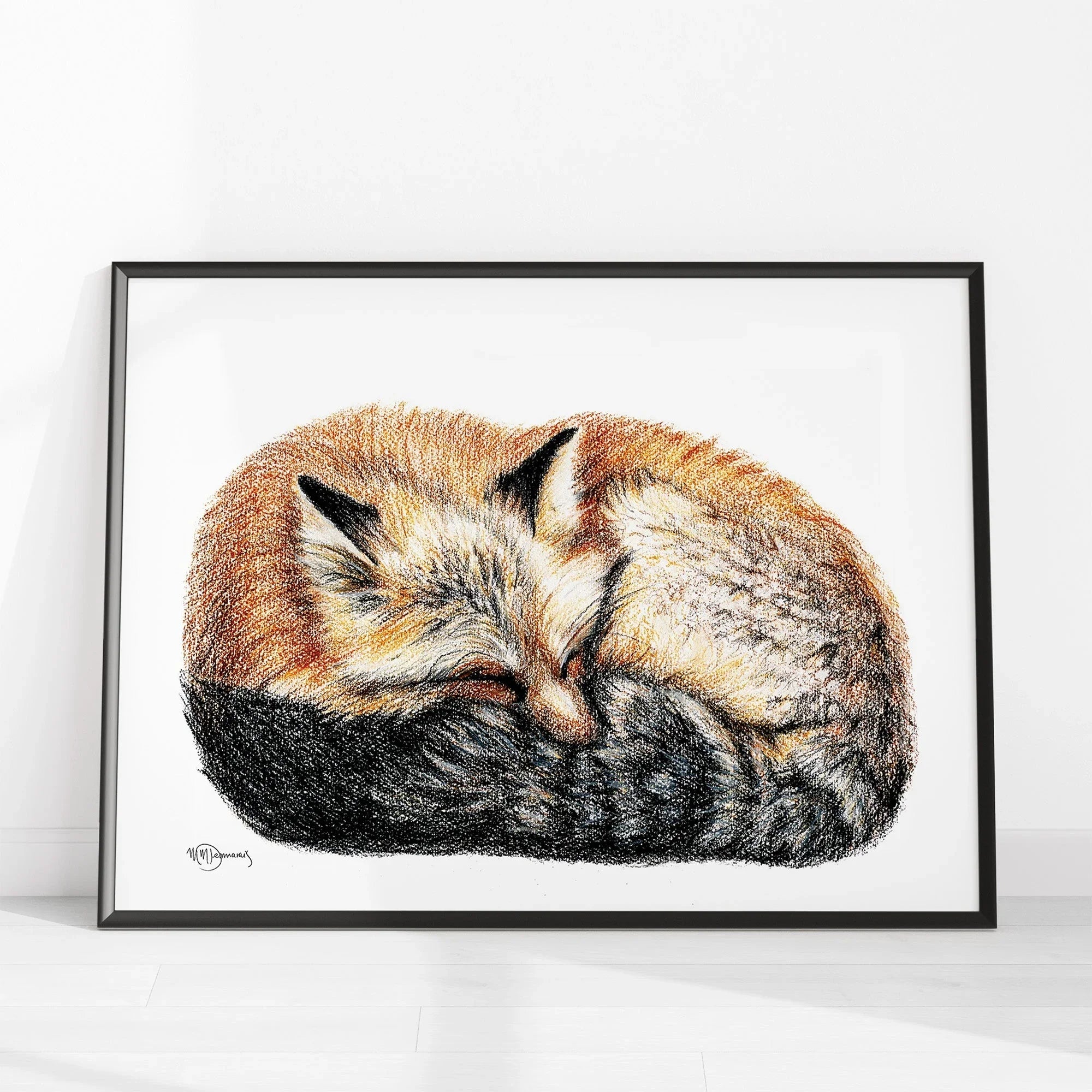 Framed colored illustration of a sleeping curled fox on white background