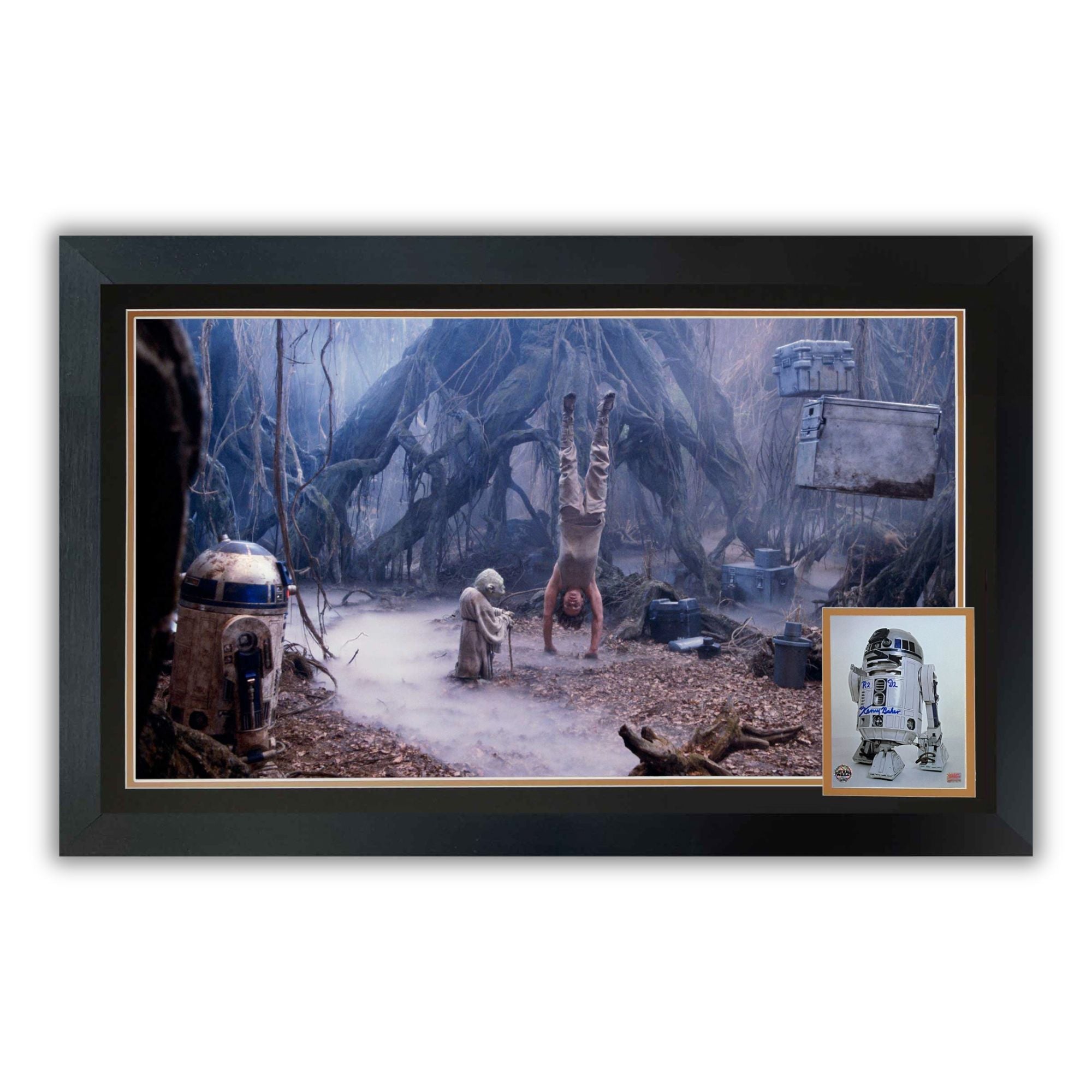 KENNY BAKER SIGNED R2-D2 & YODA DAGOBAH FRAMED  - STAR WARS COLLECTIBLE 38'X28'