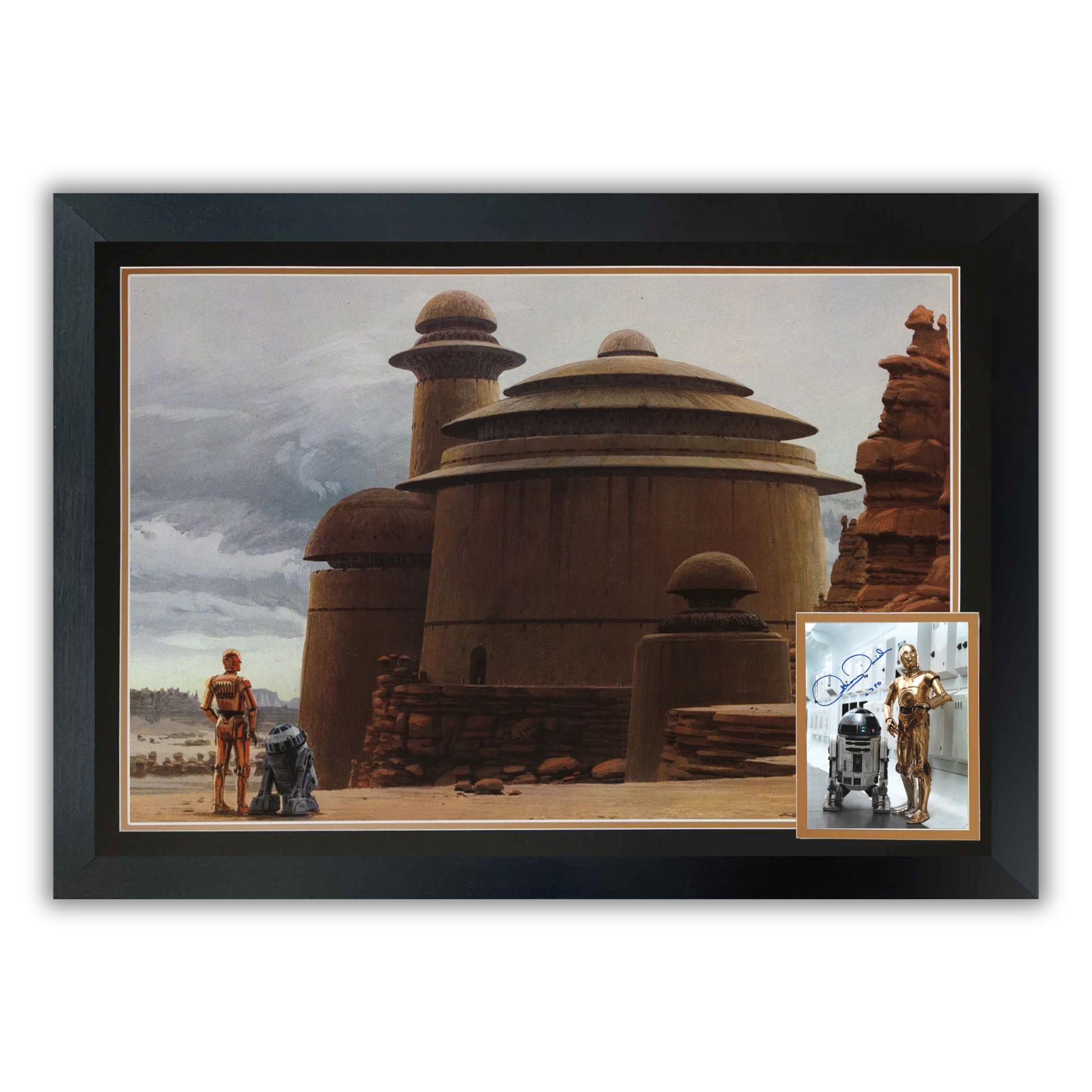 ANTHONY DANIELS SIGNED C-3PO & R2-D2 FRAMED STAR WARS - COLLECTIBLE (38.5'X28')