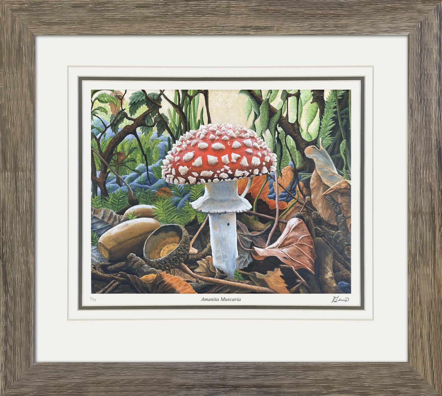 'AMANITA MUSCARIA' LIMITED FRAMED ART PRINT BY RYAN LEWIS (31' BY 24')