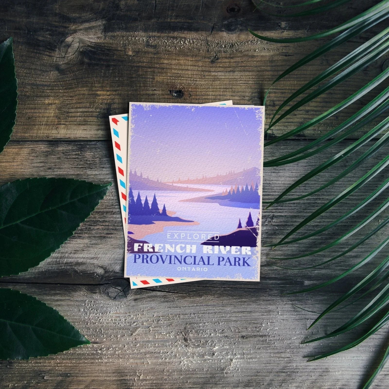 French River Provincial Park Ontario postcard on rustic wood with green leaves